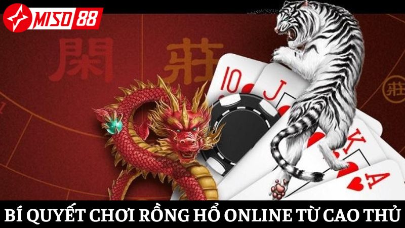 3 cách chơi Rồng Hổ Miso88 mà các cao thủ luôn áp dụng