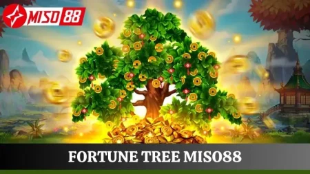 Fortune Tree Miso88