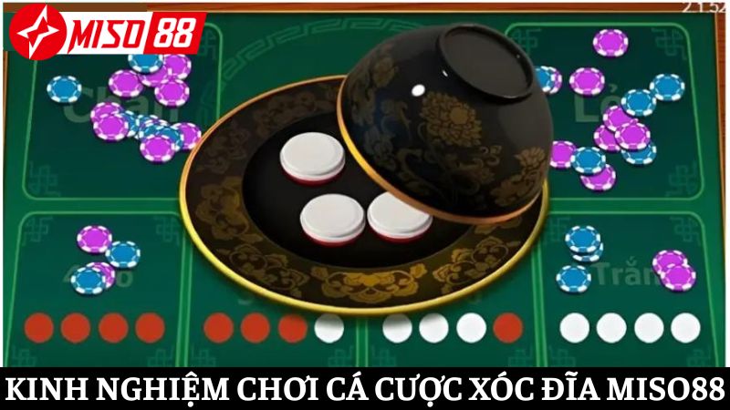Bỏ túi các kinh nghiệm chơi Xóc đĩa Miso88 hay từ cao thủ