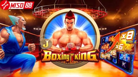 Boxing King Miso88