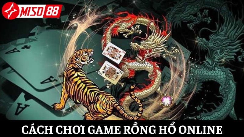 Cách chơi Rồng Hổ dễ hiểu cho người mới tại Miso88