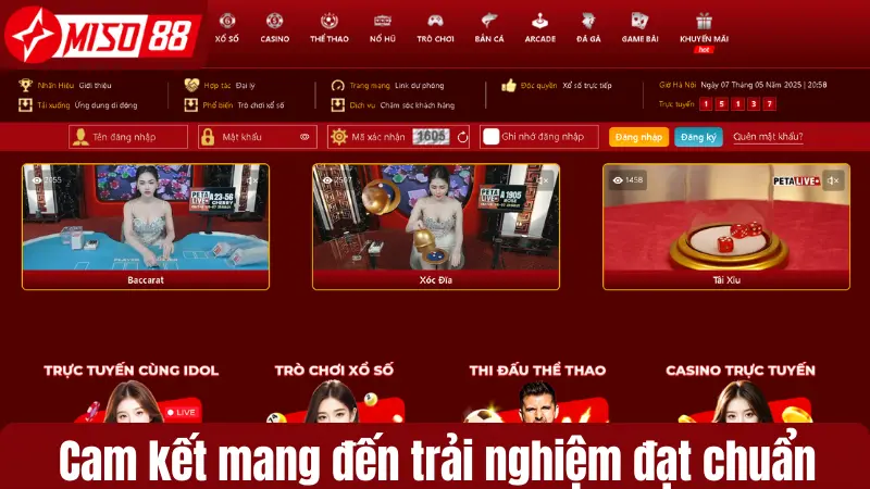 Cam kết mang đến trải nghiệm đạt chuẩn