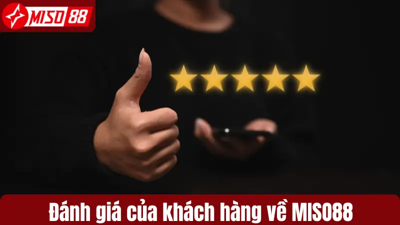 Đánh giá của khách hàng về Miso88