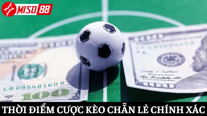 Đặt kèo chẵn lẻ đúng lúc – yếu tố quyết định chiến thắng