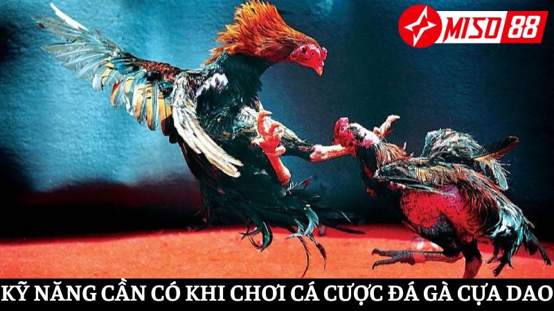 Những kỹ năng cần có khi chơi đá gà cựa dao