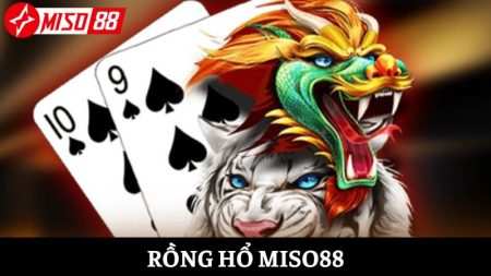 Rồng Hổ Miso88