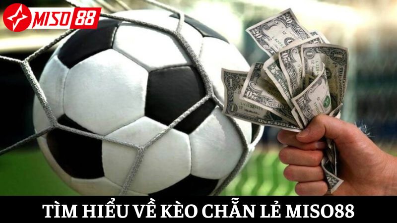 Tìm hiểu kèo chẵn lẻ Miso88 khi tham gia cá độ bóng đá