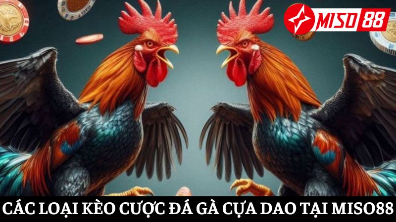 Tìm hiểu về các loại kèo cược đá gà cựa dao được nhà cái cung cấp