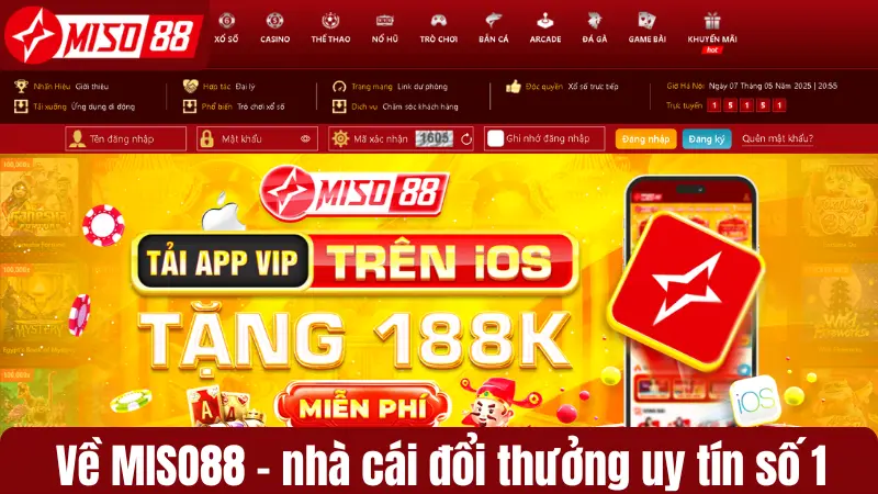 Về Miso88 - nhà cái đổi thưởng uy tín số 1